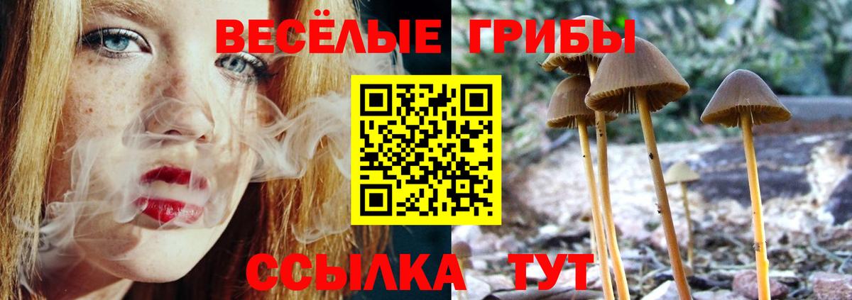 Псилоцибиновые грибы мухоморы Карачаевск