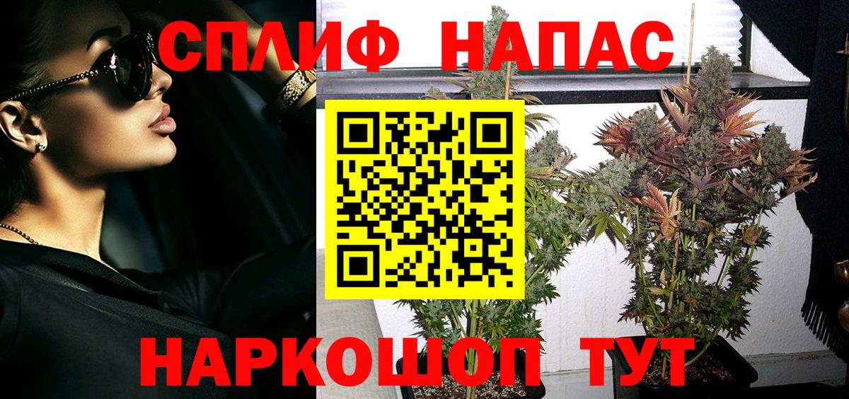 Канабис White Widow Карачаевск
